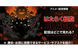 アニメ「はたらく細胞BLACK」配信はどこで見れる？無料視聴できる配信サービスを徹底調査