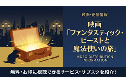 「ファンタスティック・ビーストと魔法使いの旅」配信はどこで見れる？視聴方法を紹介