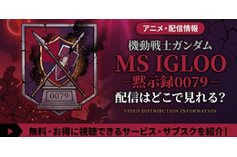 アニメ「機動戦士ガンダム MS IGLOO 黙示録0079」配信・見放題はどこ？