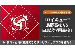 「ハイキュー!!」3期の配信はどこで見れる？全10話を無料で見る方法