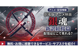 劇場版「銀魂 新訳紅桜篇」の配信はどこで見れる？見放題サービス比較