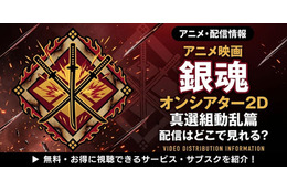 アニメ「銀魂オンシアター2D 真選組動乱篇」の配信はどこで見れる？お得に見れる動画配信サイトを紹介
