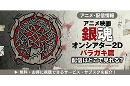 アニメ「銀魂オンシアター2D バラガキ篇」の配信はどこで見れる？お得に視聴できる動画配信サービスを紹介