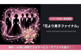 映画「花より男子ファイナル」の配信はどこで見れる？DMM TVで見放題！お得な視聴方法まとめ