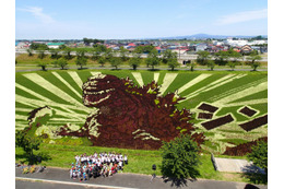 「シン・ゴジラ」青森に現わる 田んぼアートの巨大ゴジラがついにお披露目 画像