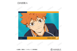 「ハイキュー!!」日向翔陽、孤爪研磨、赤葦京治…彼らの熱い名場面を永久保存！トレーディング場面写アクリルスタンド、アクリルキーホルダーなどが受注開始！