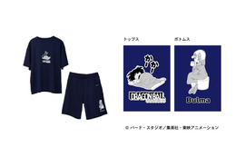 「ドラゴンボール」悟空、クリリン、ブルアらと“亀仙流”の修業だ☆リカバリーウェア登場で“よく動き　よく学び　よく遊び　よく食べて　よく休む”！