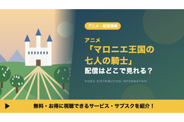 アニメ「マロニエ王国の七人の騎士」の配信はどこで見れる？Amazonプライムビデオ独占の配信日や放送日、キャストも紹介
