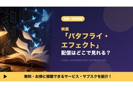 「バタフライ・エフェクト」の配信はどこで見れる？サブスクとDVDレンタルを調査