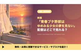 「青春ブタ野郎はゆめみる少女の夢を見ない」の配信はどこで見れる？見放題のサブスクを比較