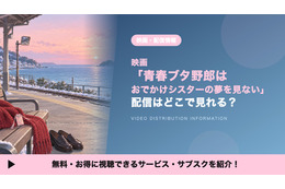 「青春ブタ野郎はおでかけシスターの夢を見ない」の配信はどこ？見放題で見れるサブスクを比較