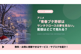 「青春ブタ野郎はサンタクロースの夢を見ない」の配信はどこ？TVアニメ2期を見放題で見れるサブスク