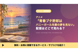 「青春ブタ野郎はバニーガール先輩の夢を見ない」の配信はどこ？TVerの無料配信と見放題サブスクを比較