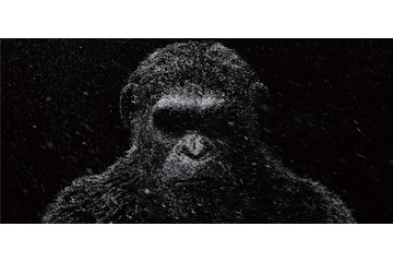 「猿の惑星:大戦記（グレート・ウォー）」2017年日本公開 人類と猿の戦いを描く 画像