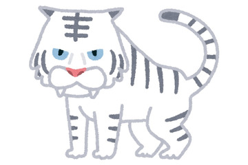 アニメ化してほしい小説は？ 2位京極夏彦「絡新婦の理」、1位は… 画像