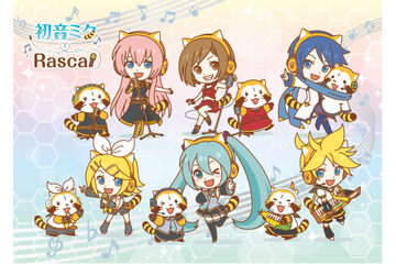 ラスカルと初音ミクがコラボ！ 「マジカルミライ2017」でグッズ先行販売へ 画像
