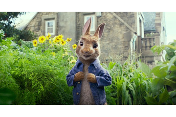 実写「ピーターラビット」5月に日本ロードショー！ 動くピーターが超キュートな特報映像も公開 画像
