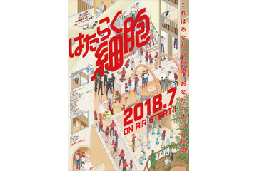 「はたらく細胞」追加キャストに中村悠一、川澄綾子、遠藤綾、吉野裕行 OP＆EDテーマも決定 画像