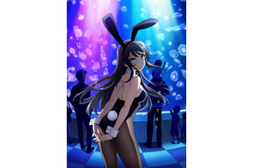 「青春ブタ野郎」A-1 Picturesの新ブランドが制作 スタッフ＆キービジュアル公開 画像