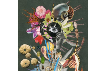 映像の一部はロトスコープ　「惡の華」OPテーマのミュージックビデオ公開　 画像