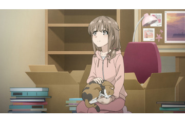 「青春ブタ野郎」かえでの記憶が消え打ちひしがれる咲太の前に現れたのは… 最終話先行カット 画像