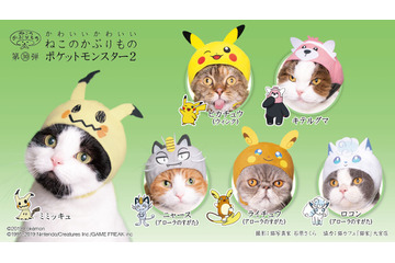 「ポケモン」猫にかぶせる“激かわ”アイテム登場！ピカチュウほかアローラ地方ポケモン集合 画像
