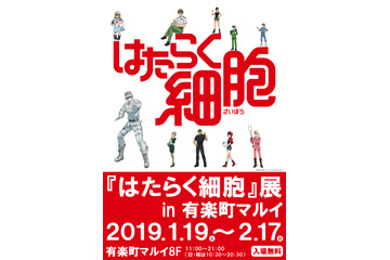 「はたらく細胞」展開催！場面写真や絵コンテ＆原作・清水茜の原画も展示 画像
