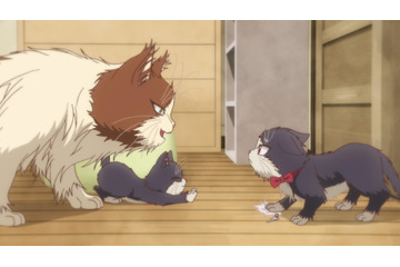 「同居人はひざ、時々、頭のうえ。」津田健次郎、豊口めぐみ、小野大輔が“ねこ”役でついに登場！第6話先行カット 画像