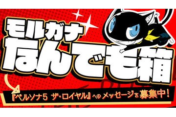 「ペルソナ5 ザ・ロイヤル」ファンの疑問に公式がお答え！ “モルガナなんでも箱”始動 画像