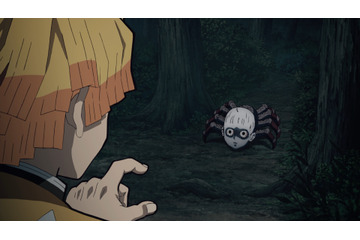 「鬼滅の刃」ひとり寂しく森を進む善逸の前に人面蜘蛛が現れ…第17話先行カット 画像