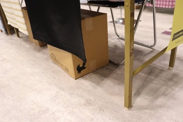 「FGOフェス」あんなところからこんなところまで！ 会場で“隠しフォウくん”探してみた 画像