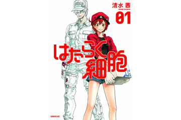 「はたらく細胞」描き下ろし新作マンガ公開決定！ “乾癬（かんせん）”への知識を広めるため 画像