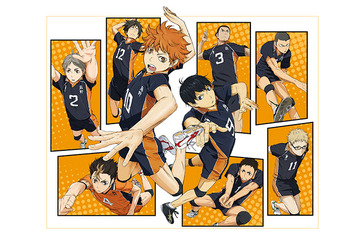 「ハイキュー!!」が4月から日5に登場　MBS・TBS系28局ネットにバレーボールアニメ 画像