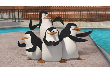 「ザ・ペンギンズ from マダガスカル」　ディズニーＸＤで放送開始、大ヒット映画からスピンオフ 画像