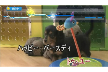 PS Vita「JOYSOUND.TV Plus」　期間限定「アニソン無料で100曲歌い放題祭り!!」開催 画像