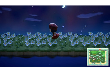 「あつまれ どうぶつの森」あったらいいなを妄想してみた！ “花びらが散らない靴”や“DIY一括作成”など10選【特集】 画像