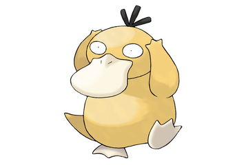 ここ数年、「コダック」推しな波が来てるのでは…!? とぼけた表情の裏に隠された底知れない魅力に迫る 画像