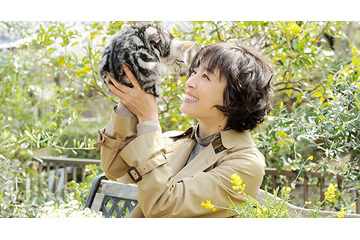 宮沢りえ、ドラマ版「グーグーだって猫である」主演決定　監督は犬童一心に 画像