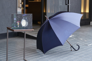 「となりのトトロ」サツキがバス停でトトロにあげた“あの雨傘”が発売決定！ 画像