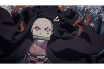 「鬼滅の刃」禰豆子ら鬼舞辻に抗う鬼の存在も！そして過去最強の敵・魘夢現る！【“鬼”特集vol.3】 画像