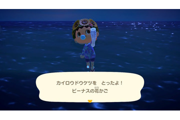 「あつ森」やっと“手に入れたよ”って人に贈りたい！ 発売初期の虫/魚が再登場する「10月の新生物一覧」をお届け 画像