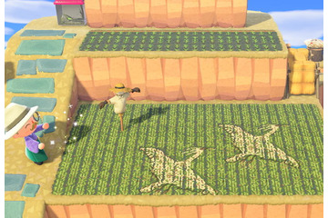 「あつまれ どうぶつの森」新潟県佐渡市の“さどが島”をバーチャル観光！ 夢見を使って、日本初の世界農業遺産を楽しもう 画像