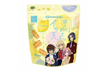 「機動戦士ガンダムSEED」デザインの“イカ天”＆”カレー”登場！ きゅんとするパッケージに注目 画像