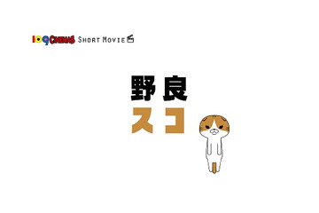 「野良スコ」109シネマズ全国18館で新作上映　内山勇士監督の脱力ショートアニメ 画像