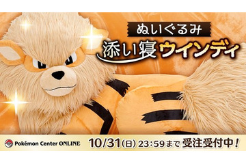 「ポケモン」ウインディと添い寝できる♪ 約1/2スケールなのに、存在感抜群のビッグぬいぐるみ登場 画像