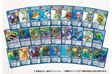 デジモンカードゲーム復刻セット発売　シリーズの逸品を抜粋で全162枚 画像