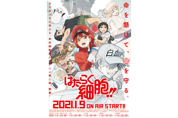 “お仕事アニメ”といえば？ 3位「SHIROBAKO」、2位「はたらく細胞」、1位は…【#勤労感謝の日】 画像