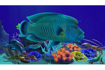 『あつ森』手持ちカメラを使えば博物館が「別世界」に！これがゲームだなんて、信じられる…？ 画像