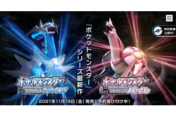 歴代『ポケモン』シリーズで最推しのジムリーダーは？ 魅力もあわせて大募集！【読者アンケート】 画像