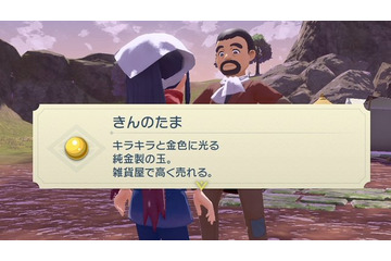 『ポケモンレジェンズ アルセウス』お金が足りないときの金策手段！地味な方法から「時空の歪み」での一攫千金まで 画像